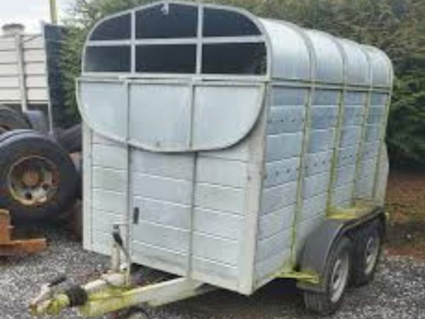 ⭐️⭐️WANTED⭐️⭐️   8x5  Livestock trailer - Main image