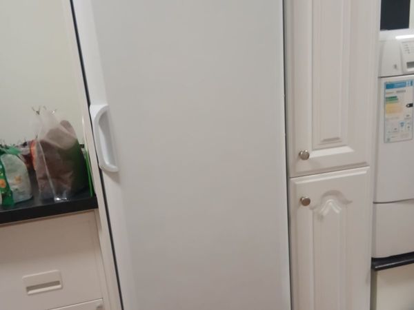 Larder Fridge, Freezer and dishwasher - Main image