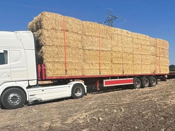 Pre-Chopped Barley & Wheaten Straw - Main image