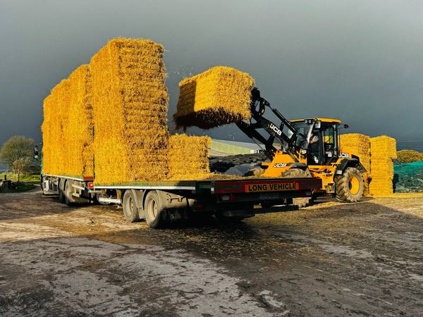 Pre-Chopped Barley & Wheaten Straw - Main image