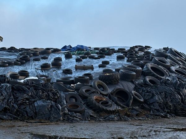 Pit Silage - Main image