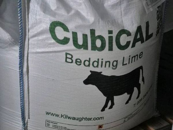 Cubicle lime - Main image