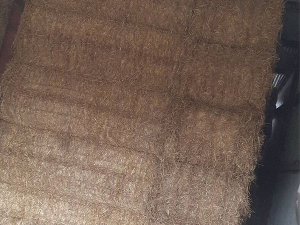 Barley straw - Main image