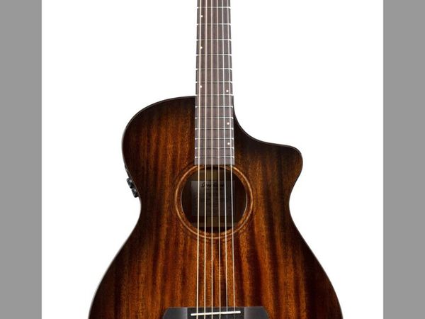 Breedlove Concert Pro guitar. - Main image