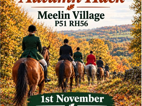 Duhallow Foxhounds CLG Hack - Main image