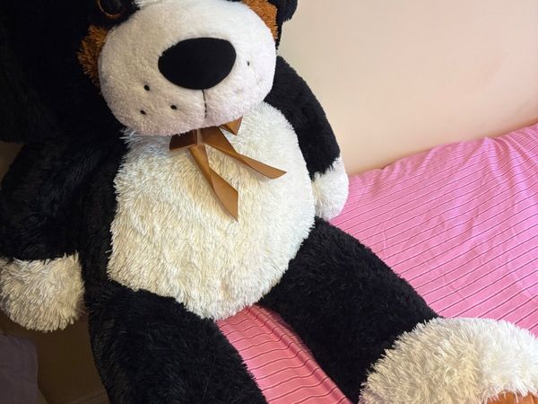 Large Bernese Mountain Dog Teddy - Main image
