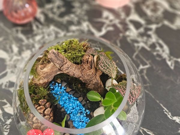 hand made terrarium - Main image