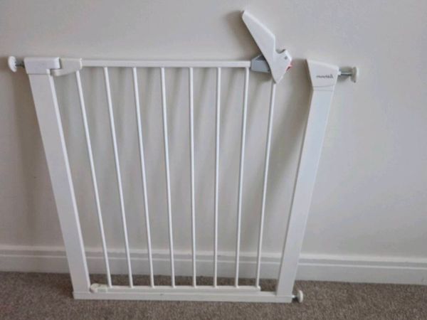 Baby Gate - Main image
