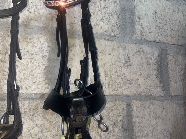 Bridle - Main image