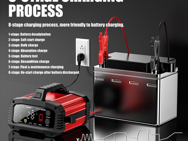 FOXSUR FPT-250 25A Battery Charger 12V/24V - Main image