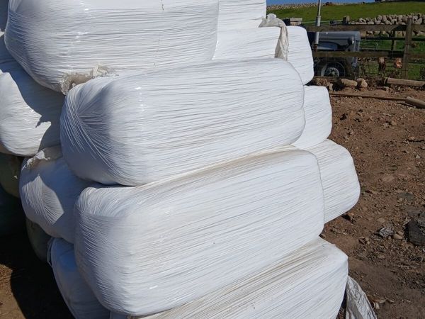 Small square bales haylage - Main image