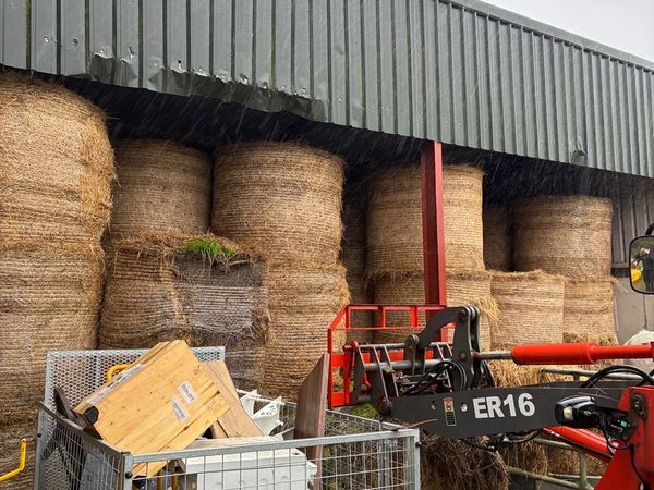 Hay bales for sale - Main image
