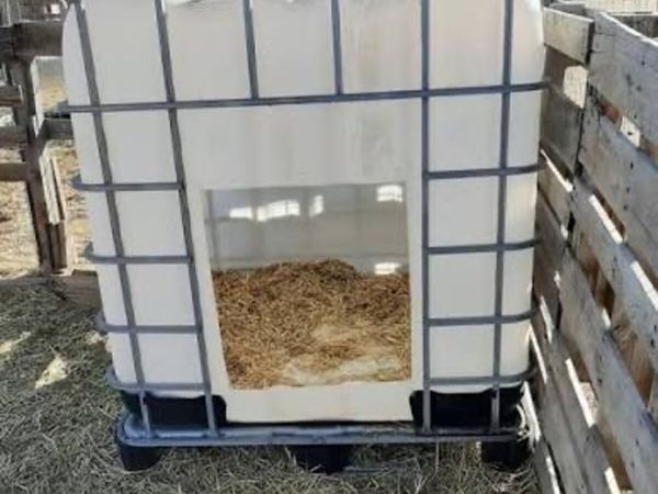 Animal shed - Main image