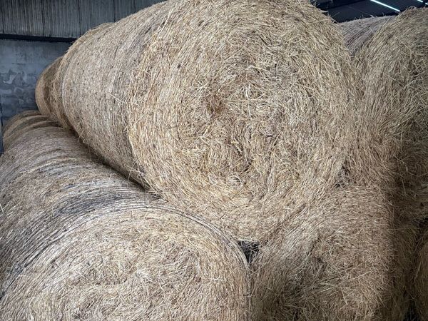 Round bales of hay - Main image