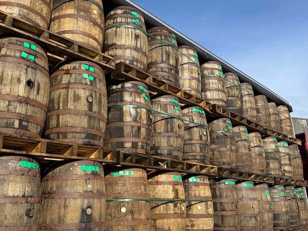 Whiskey Barrels - Main image