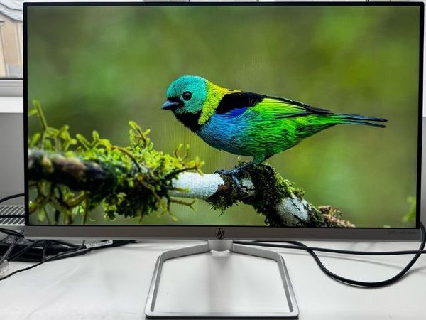 Two HP 24-inch Monitors - Main image