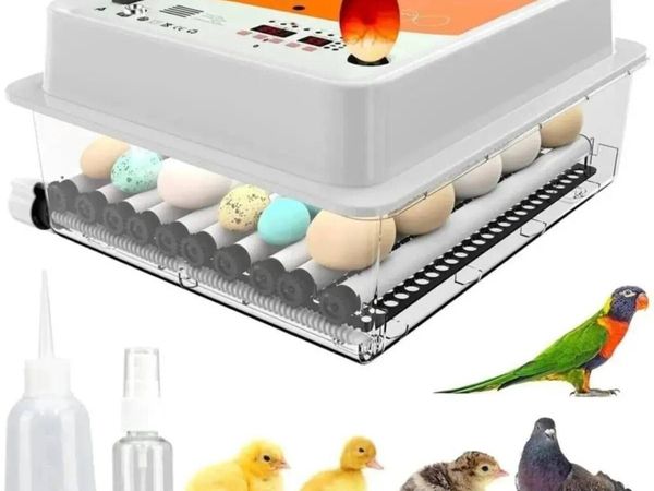 Automatic Egg Hatching Machine 36 Egg  Capacity - Main image