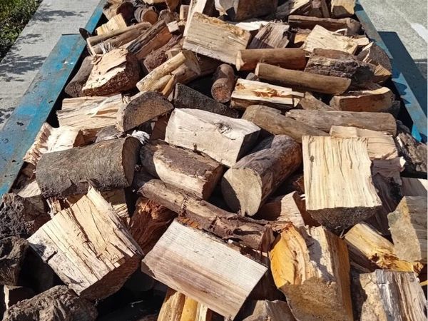 Firewood - Main image