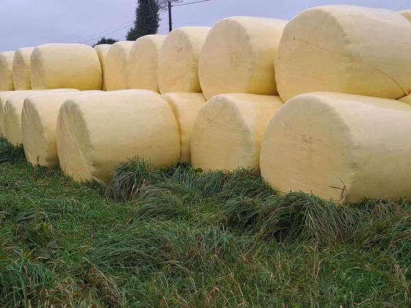 Quality Silage/Haylage/Hay  for sale - Main image