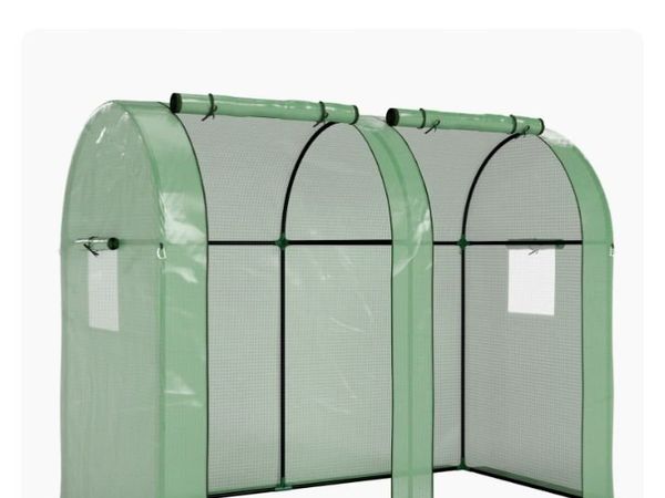 Tomato green house - Main image