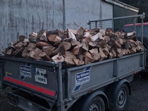 Firewood - Main image