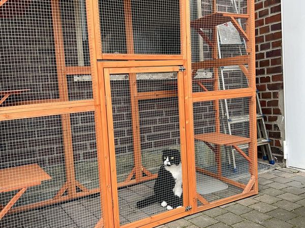 CATIO CATTERY PLAYPEN ..FREE DELIVERY - Main image