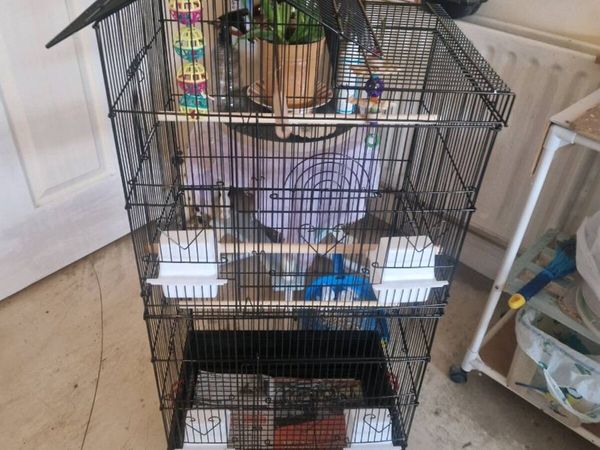 Bird cage - Main image