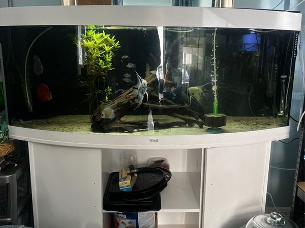 Juwel Vision 450L Aquarium - Main image