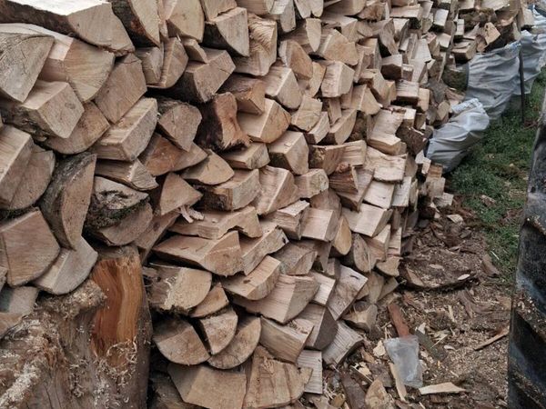Firewood - Main image