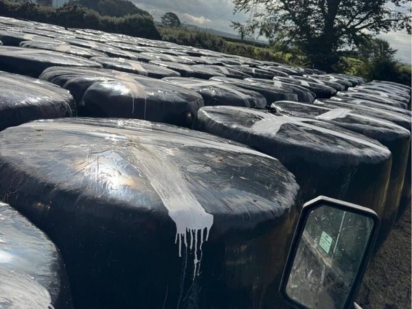 Round bales of Silage - Main image