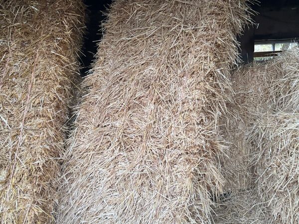 Straw - Main image