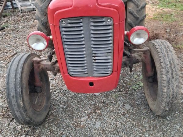 Massey Ferguson - Main image