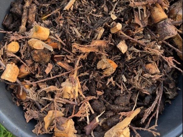 Wood chips - Main image