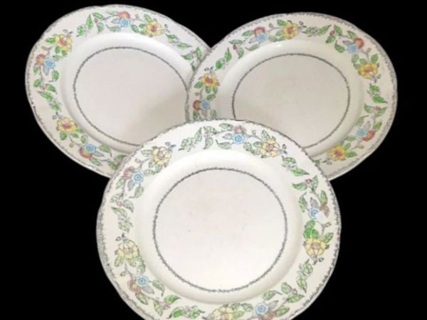 Vintage Jas. Broadhurst & Sons "Warwick"Plates - Main image