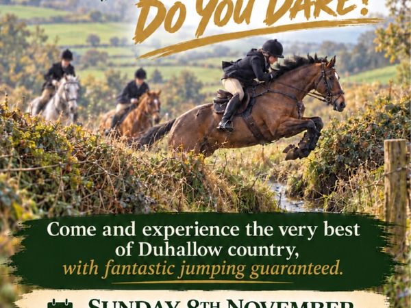 🍂🌟DUHALLOW FOXHOUNDS CLG HUNT RIDE🌟🍂 - Main image