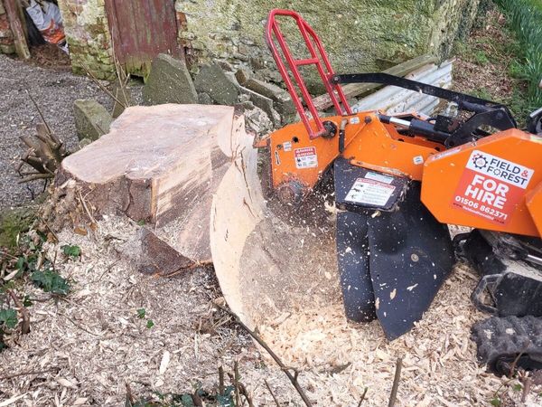 Stump grinding - Main image