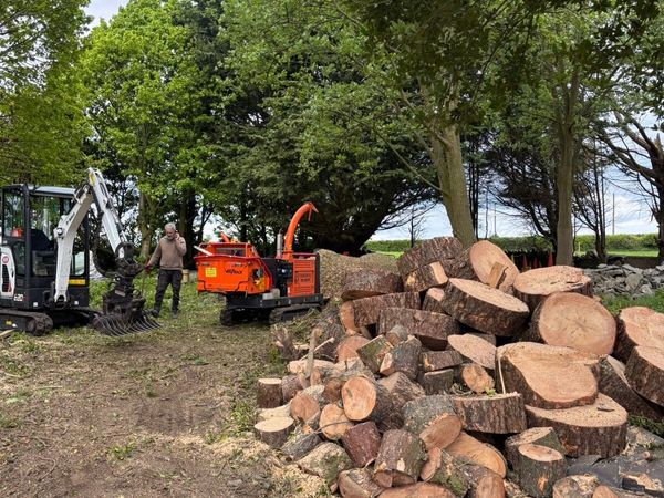 Tree surgery - Main image
