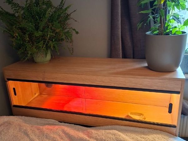 Terrarium for Sale – Accessories Included - Main image