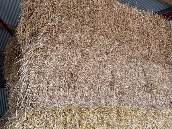 Straw - Main image