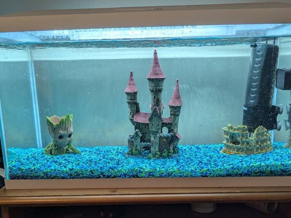 Fish Tank & Accessories - Main image