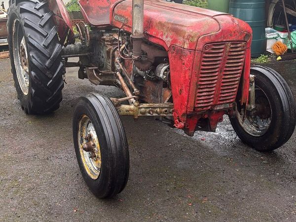 Massey Ferguson 35 Goldbelly - Main image