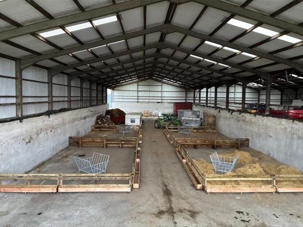 Wooden feed barriers for sheep - Main image
