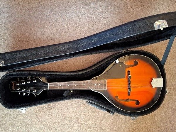 Stagg Bluegrass Mandolin for sale in Meath for €120 on DoneDeal