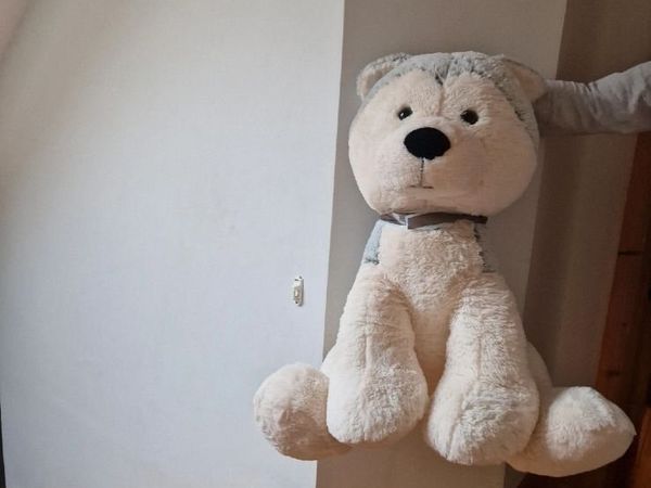 Large husky Teddy - Main image