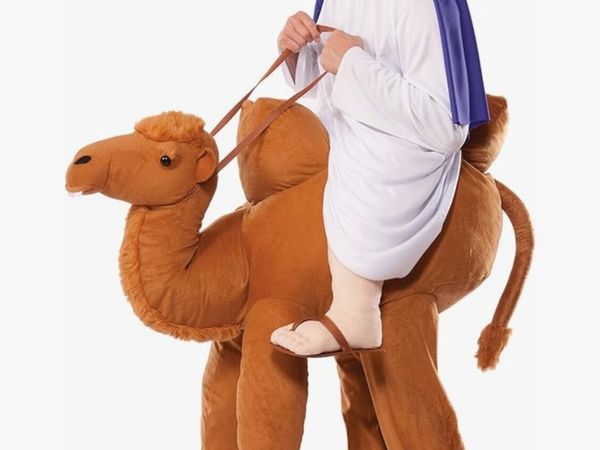Camel Costume - Main image
