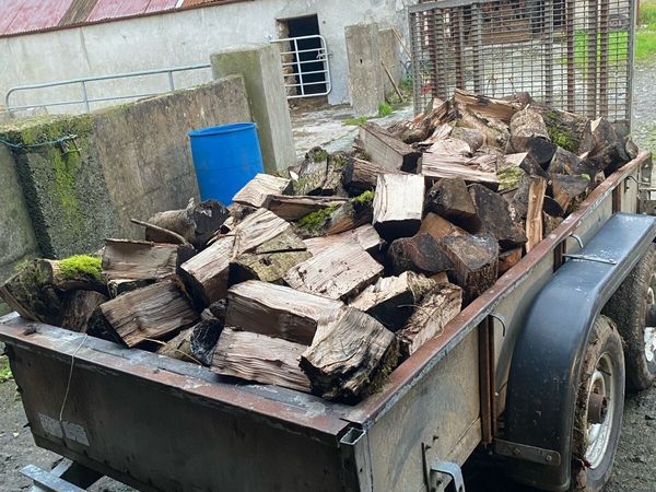 Ash firewood 8x4 - Main image