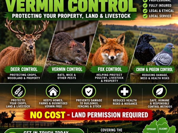 Deer Management / Control - Main image