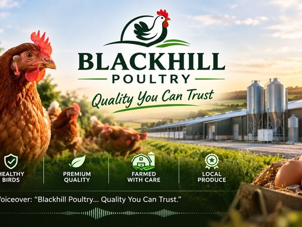 Blackhill Poultry - Main image