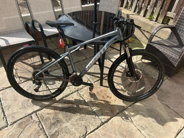 Grey Giant Talon Bike - Main image