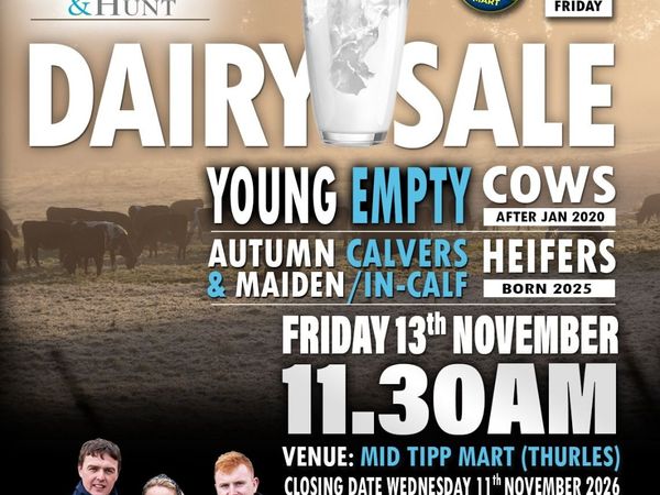 Young empty sale - Main image